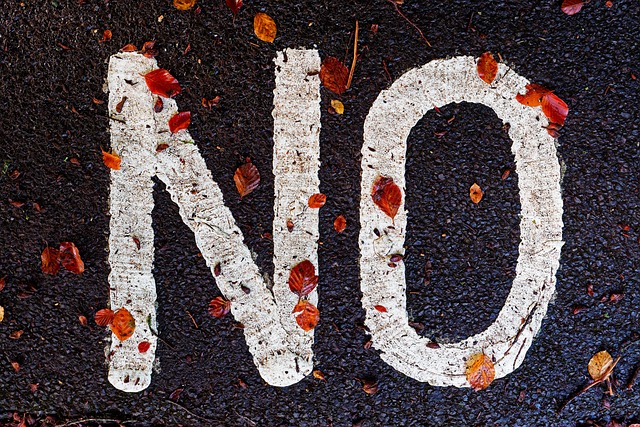 no dialouge