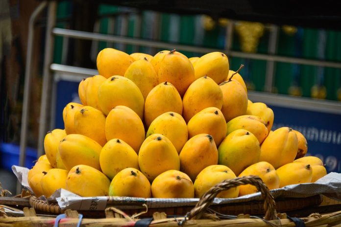 yellow-4992183_1280
